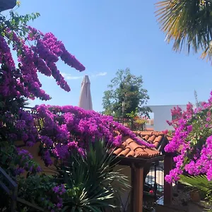 Ana Apartman Abbázia